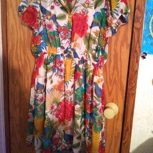 Forever 21 plus size dress